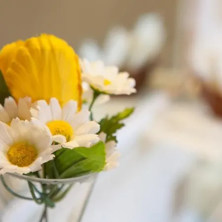 فندق مبيت وإفطار Nights In